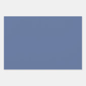 抽象芸術エレガント秋のカボチャのダスティブルー葉の ラッピングペーパーシート (正面2)