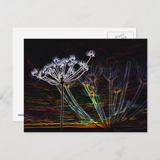抽象芸術カウパセリのポストカード ポストカード (正面/裏面)