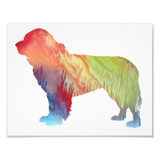 抽象芸術カラフルニューファンドランドのシルエット フォトプリント (正面)