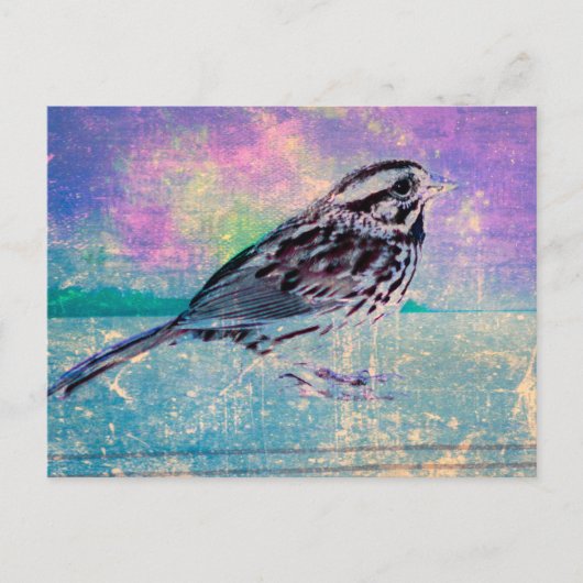 抽象芸術カラフルバードアート：ソング鮮やかバード ポストカード (正面)
