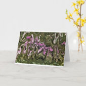 抽象芸術カラー勉強466、カード カード (黄色い花)