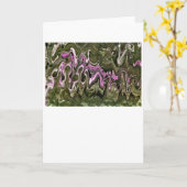 抽象芸術カラー勉強466、カード カード (黄色い花)