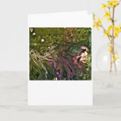 抽象芸術カラー勉強499、カード カード (黄色い花)