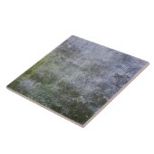 抽象芸術グランジコケ被覆石壁テクスチャ タイル (側面)