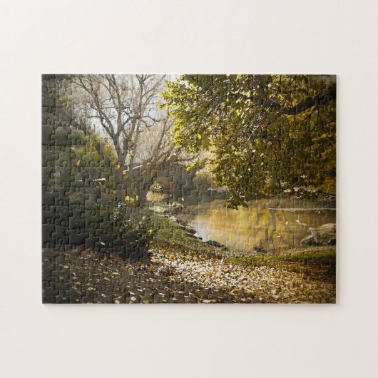 抽象芸術シーンセントラルパークニューヨーク。 ジグソーパズル (横)