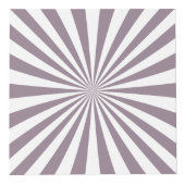 抽象芸術スターバストサンダー_コーブ フォトキューブ (右)