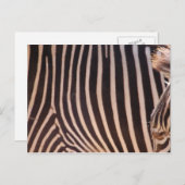 抽象芸術ストライプはがき ポストカード (正面/裏面)