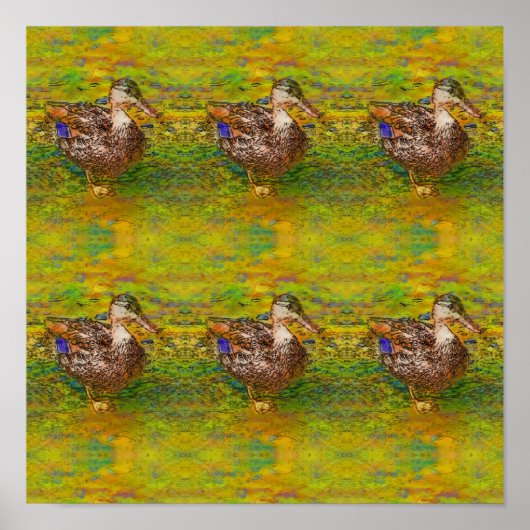 抽象芸術ダックを行カラー写真のスケッチアート ポスター (正面)