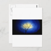 抽象芸術ツリー – アモダンート ポストカード (正面/裏面)