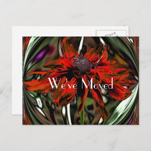 抽象芸術デイジーフラワーの新しいアドレス 案内ポストカード (正面/裏面)