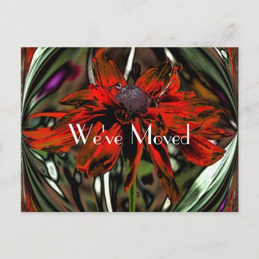 抽象芸術デイジーフラワーの新しいアドレス 案内ポストカード (正面)