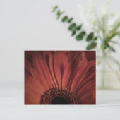 抽象芸術デイジー ポストカード (スタンド正面)