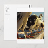 抽象芸術ハトのメッセージ ポストカード (正面/裏面)