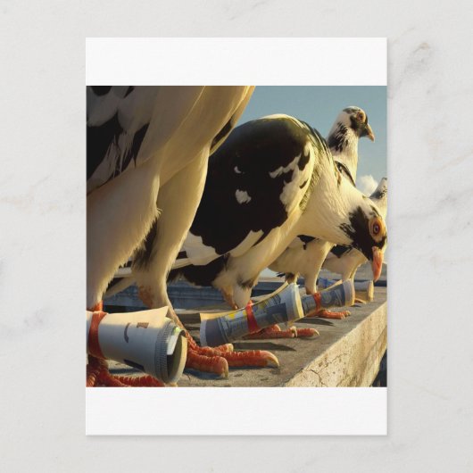 抽象芸術ハトのメッセージ ポストカード (正面)