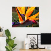 抽象芸術バードオブパラダイス ポスター (ホームオフィス)