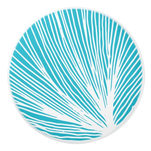 抽象芸術ビーチホタテ セラミックノブ (正面)