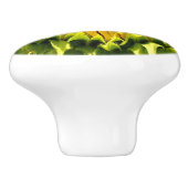 抽象芸術ファンキーレトロひまわり、おびえたジオメトリ セラミックノブ (側面)