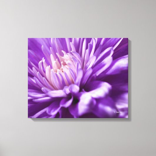 抽象芸術フローラキャンバス印刷 キャンバスプリント (正面)