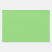 抽象芸術フローラル模様（白に黒緑） ラッピングペーパーシート (正面2)