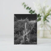 抽象芸術ホラーアート – 死んだ木の首に人形 ポストカード (スタンド正面)