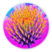 抽象芸術マクロのホットピンクとイエローコンフロアー セラミックノブ (正面)