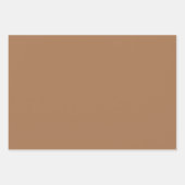 抽象芸術モダン自然テラコッタボホ ラッピングペーパーシート (正面3)