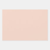 抽象芸術モダン自然テラコッタボホ ラッピングペーパーシート (正面2)