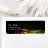 抽象芸術ラ絵画イトの写真「Ribfont」 ラベル (インサイチュ)