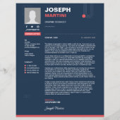 抽象芸術レジューム、CV +レター (裏面)