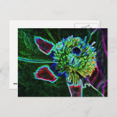 抽象芸術ロックバラはがき ポストカード (正面/裏面)