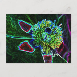 抽象芸術ロックバラはがき ポストカード