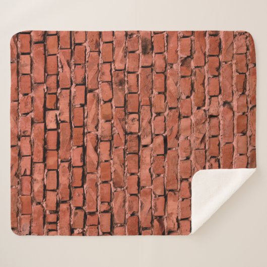 抽象芸術古いヴィンテージの割れバンピー粗いレンガの壁 シェルパブランケット (正面(横))