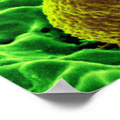 抽象芸術微生物芸術カスタムポスターキャンバス ポスター (角)