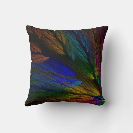 抽象芸術数々の色の羽毛フラクタル枕 クッション (裏面)