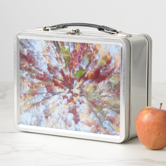 抽象芸術果樹 メタルランチボックス (インサイチュ)