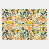 抽象芸術柑橘類およびフローラ装飾紙セット ラッピングペーパーシート (正面3)