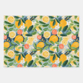 抽象芸術柑橘類およびフローラ装飾紙セット ラッピングペーパーシート (正面2)