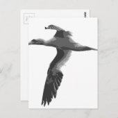 抽象芸術海鳥 ポストカード (正面/裏面)