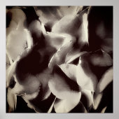 抽象芸術白黒フローラ ポスター (正面)