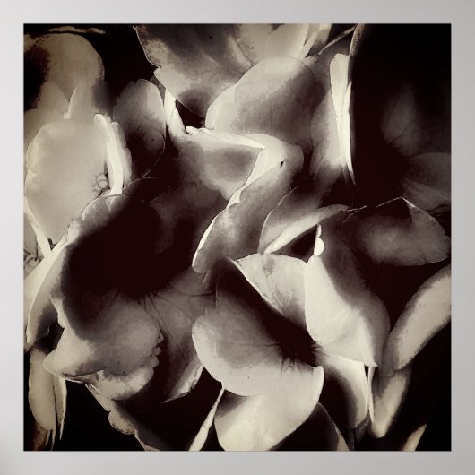 抽象芸術白黒フローラ ポスター (正面)