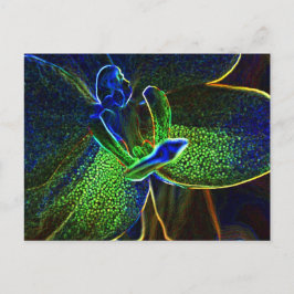 抽象芸術絵はがき ポストカード