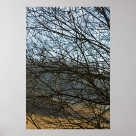 抽象芸術自然 ポスター