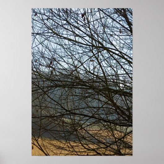 抽象芸術自然 ポスター (正面)