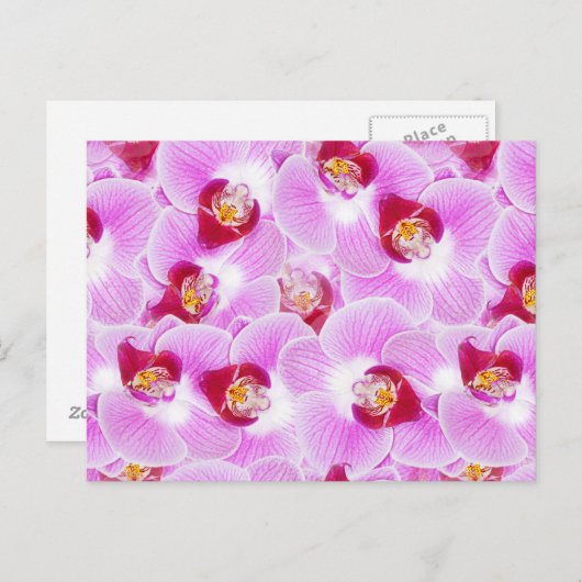 抽象芸術花写真の背景 ポストカード (正面/裏面)