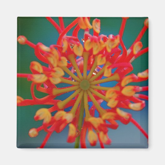 抽象芸術花磁石 マグネット (正面)