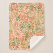 抽象芸術葉を引っかいた珊瑚礁 シェルパブランケット (正面)