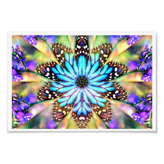 抽象芸術蝶の花 フォトプリント            (正面)