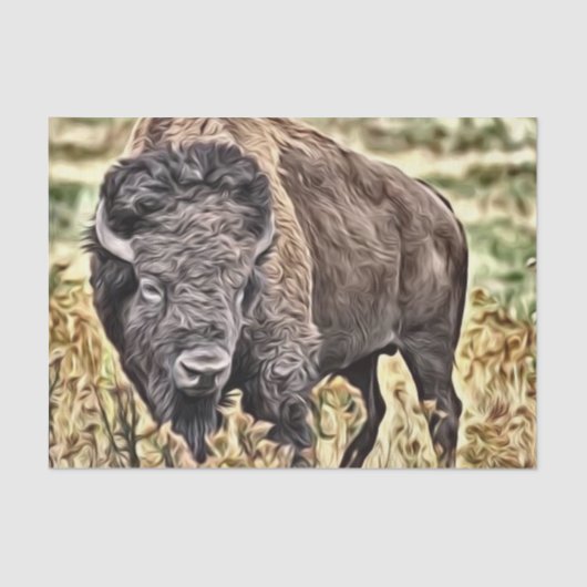 抽象芸術西バッファロー 薄葉紙 (正面)