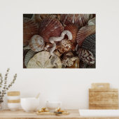 抽象芸術貝砂ドル ポスター (キッチン)