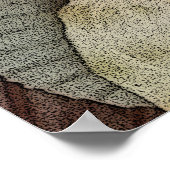 抽象芸術貝砂ドル ポスター (角)